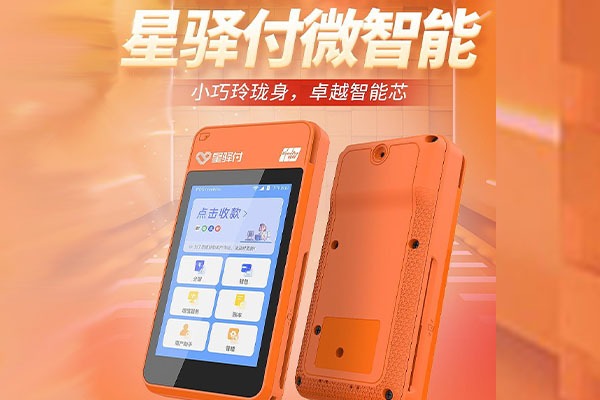 抚松国通微电签POS机